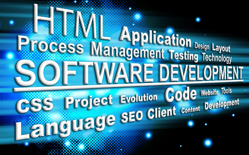 ngành lập trình web