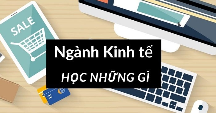 Ngành kinh tế gồm những chuyên ngành nào